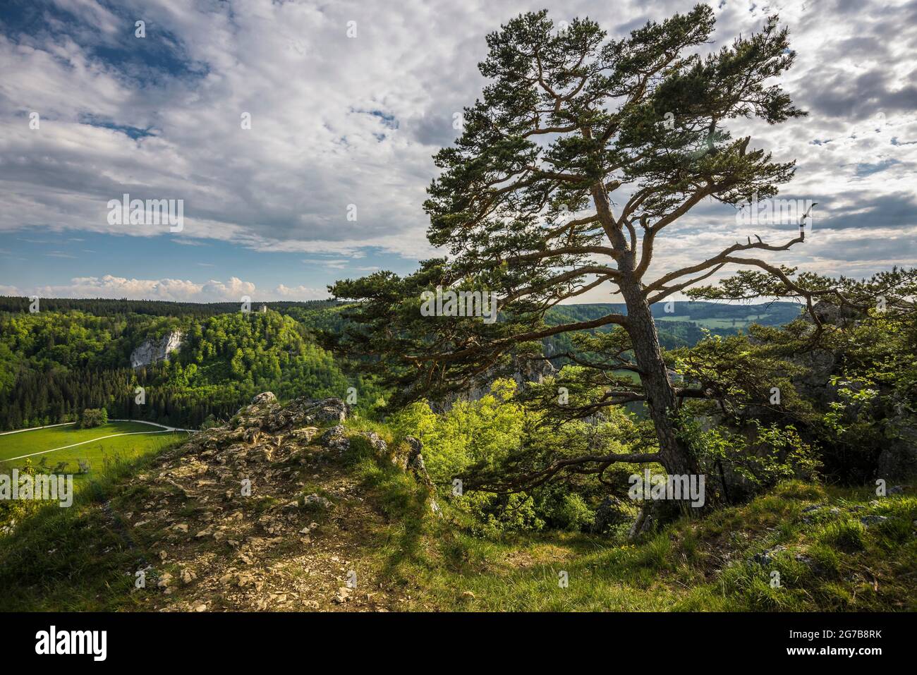 Blick von Stiegelesfelsen, bei Fridingen, Naturpark Obere Donau, Oberes Donautal, Donau, Schwäbische Alb, Baden-Württemberg, Deutschland Stockfoto