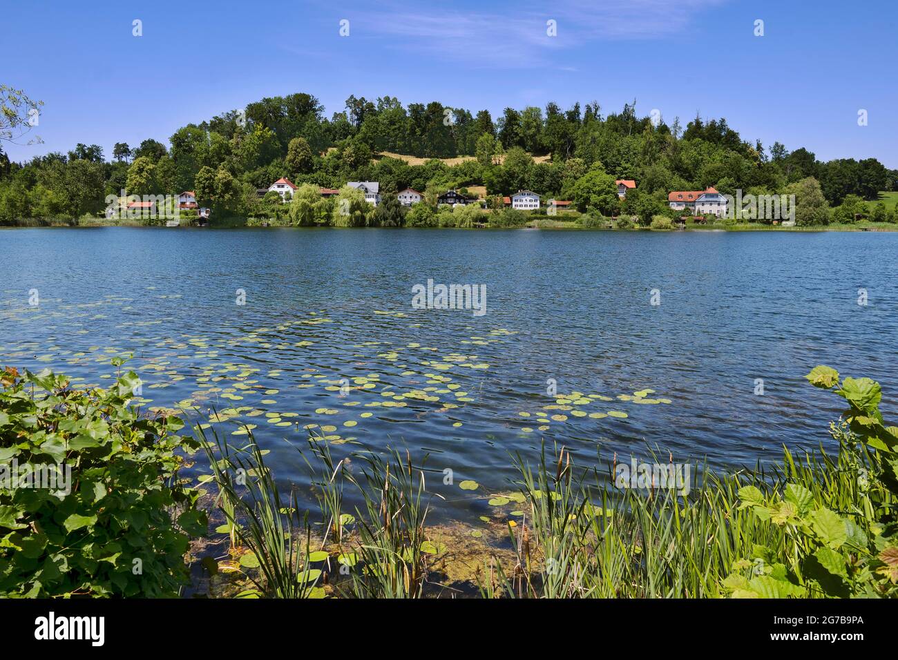 Klostersee, Seeon-Seebruck, Oberbayern, Bayern, Deutschland Stockfoto