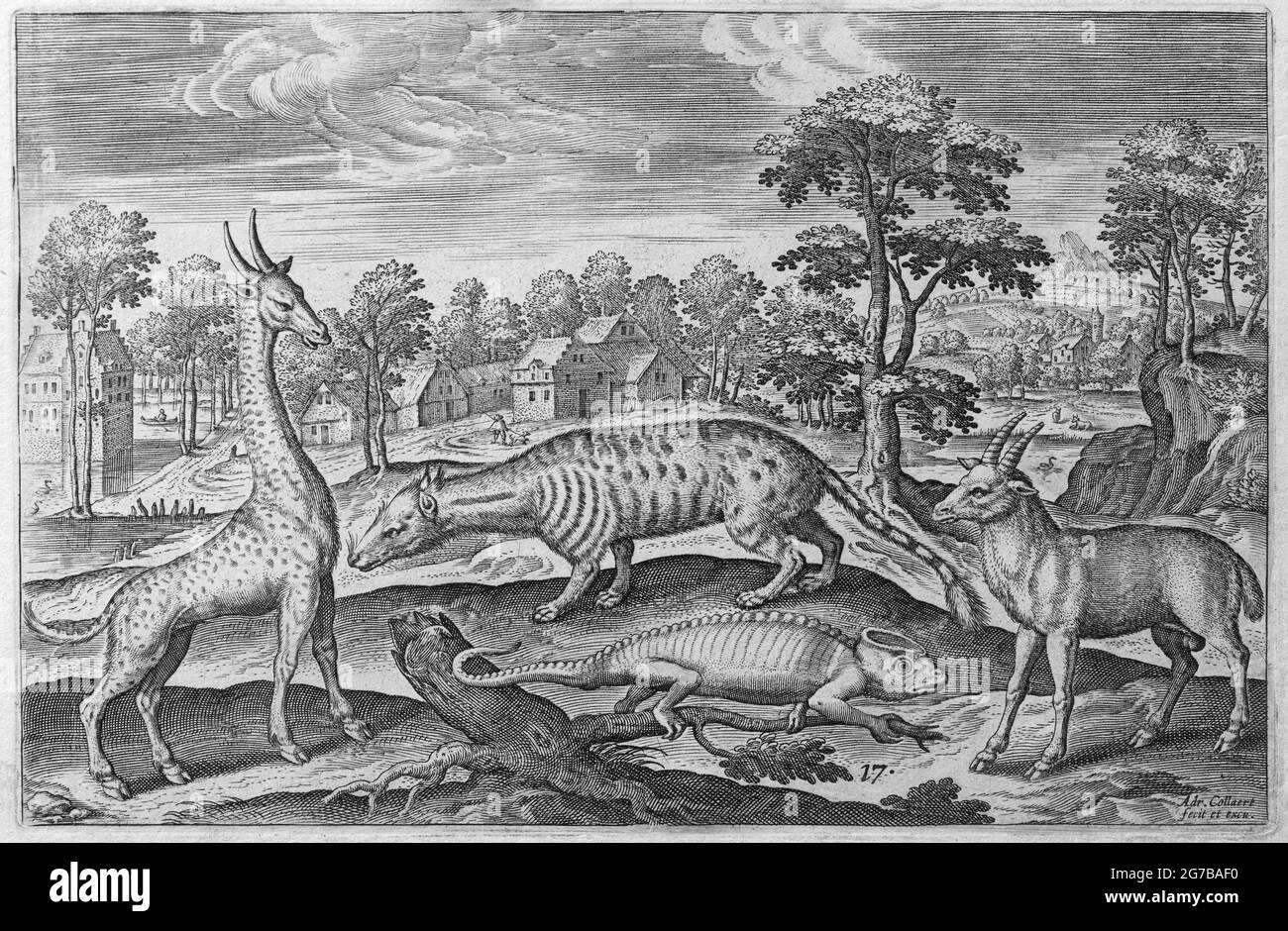 Giraffe, Chamäleon, Zibetkatze und Antilope, Kupferstich von Adrian Collaert, 1597, Antwerpen Stockfoto