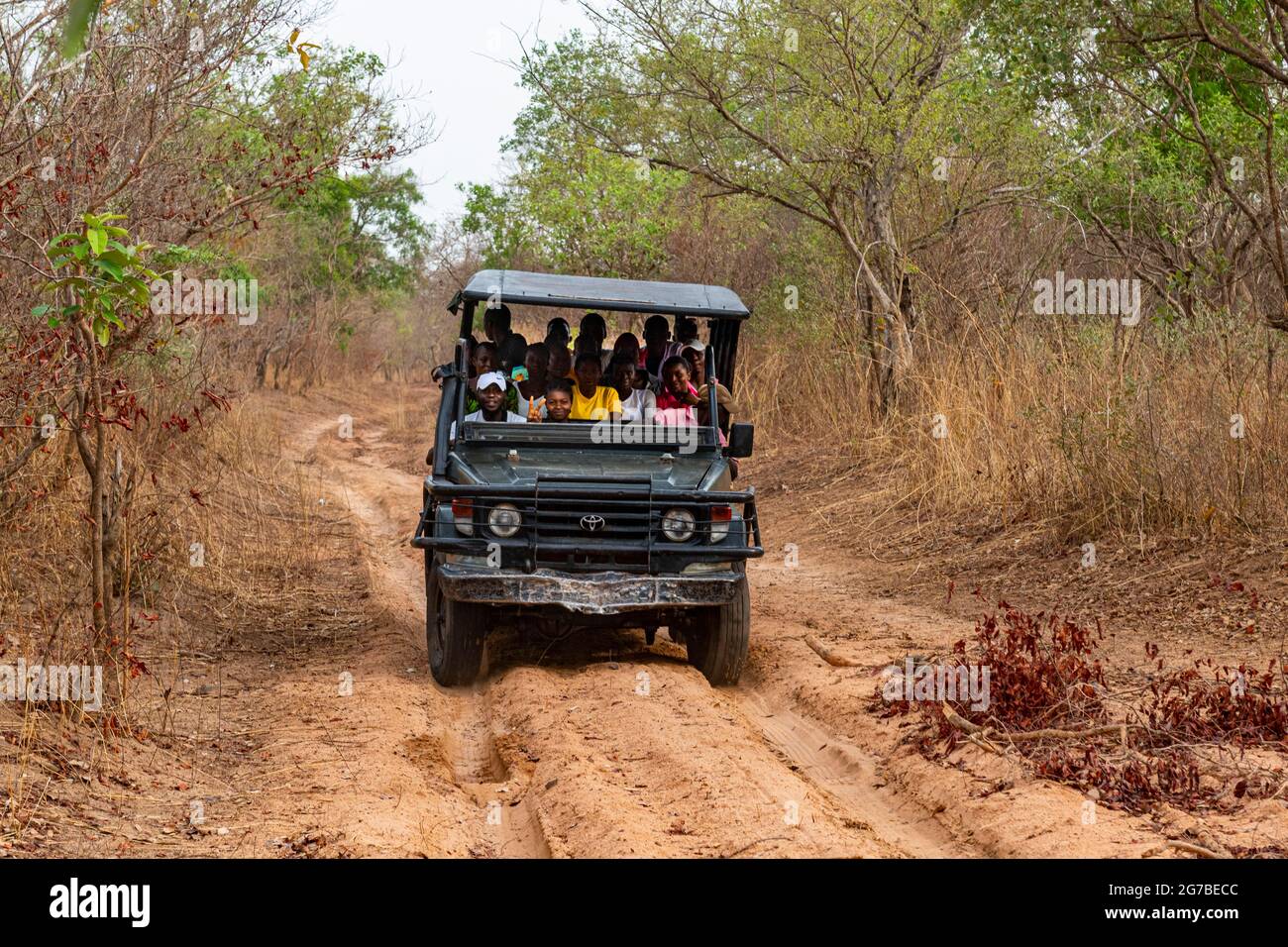 Lokale Touristen in einem Jeep, Yankari Nationalpark, Ostnigeria Stockfoto