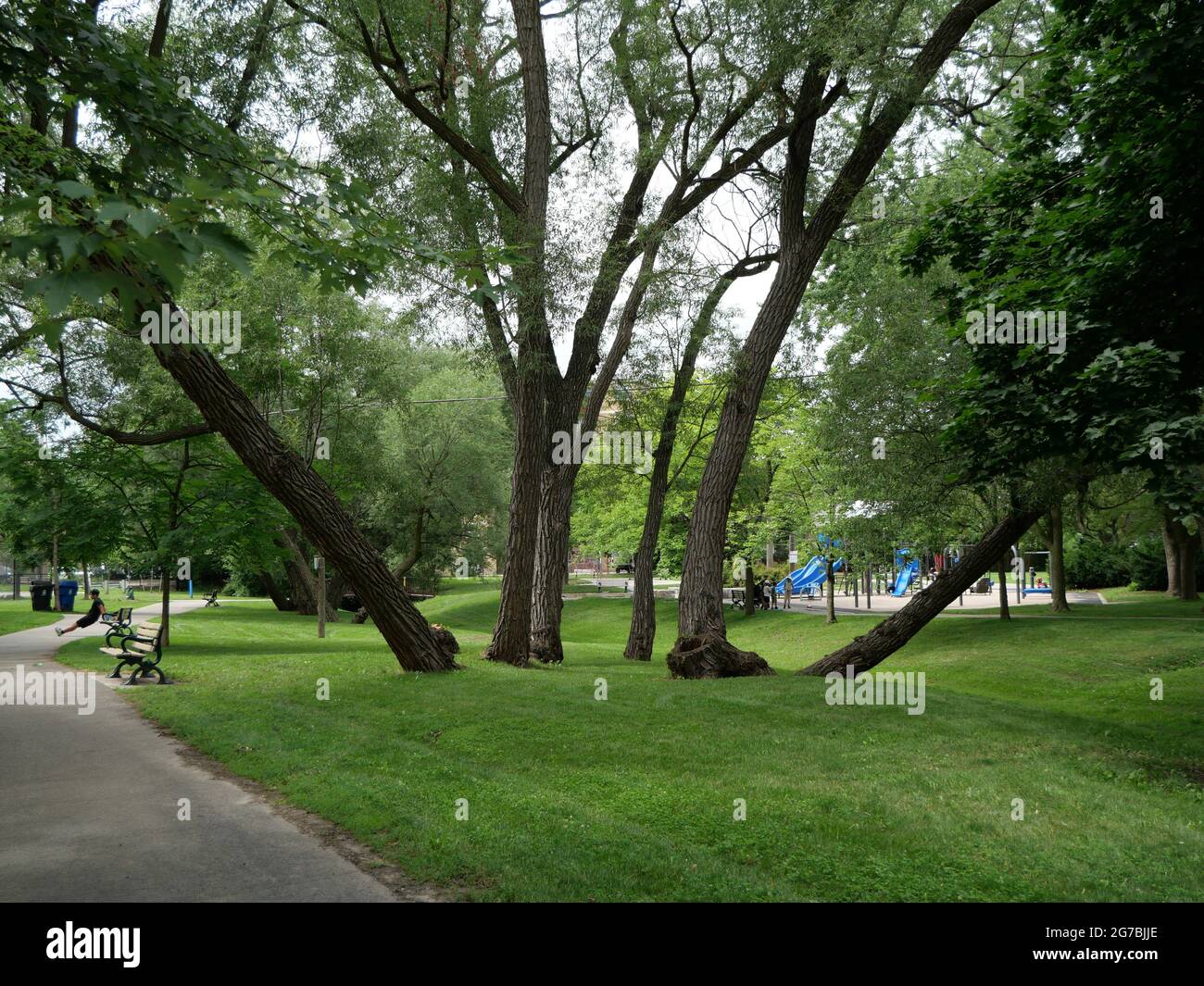 Die Nachbarschaft Park in einem städtischen Gebiet mit Gras, schattigen Bäumen und Bänken rund um einen Pfad Stockfoto