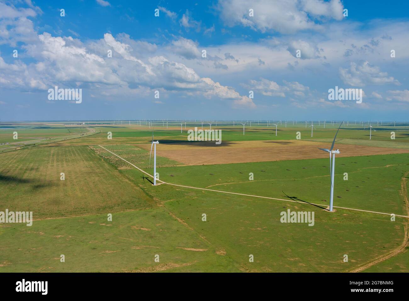 Windturbinen von vielen Windmühlen erneuerbare Energie ein Feld im Südosten von Texas Stockfoto
