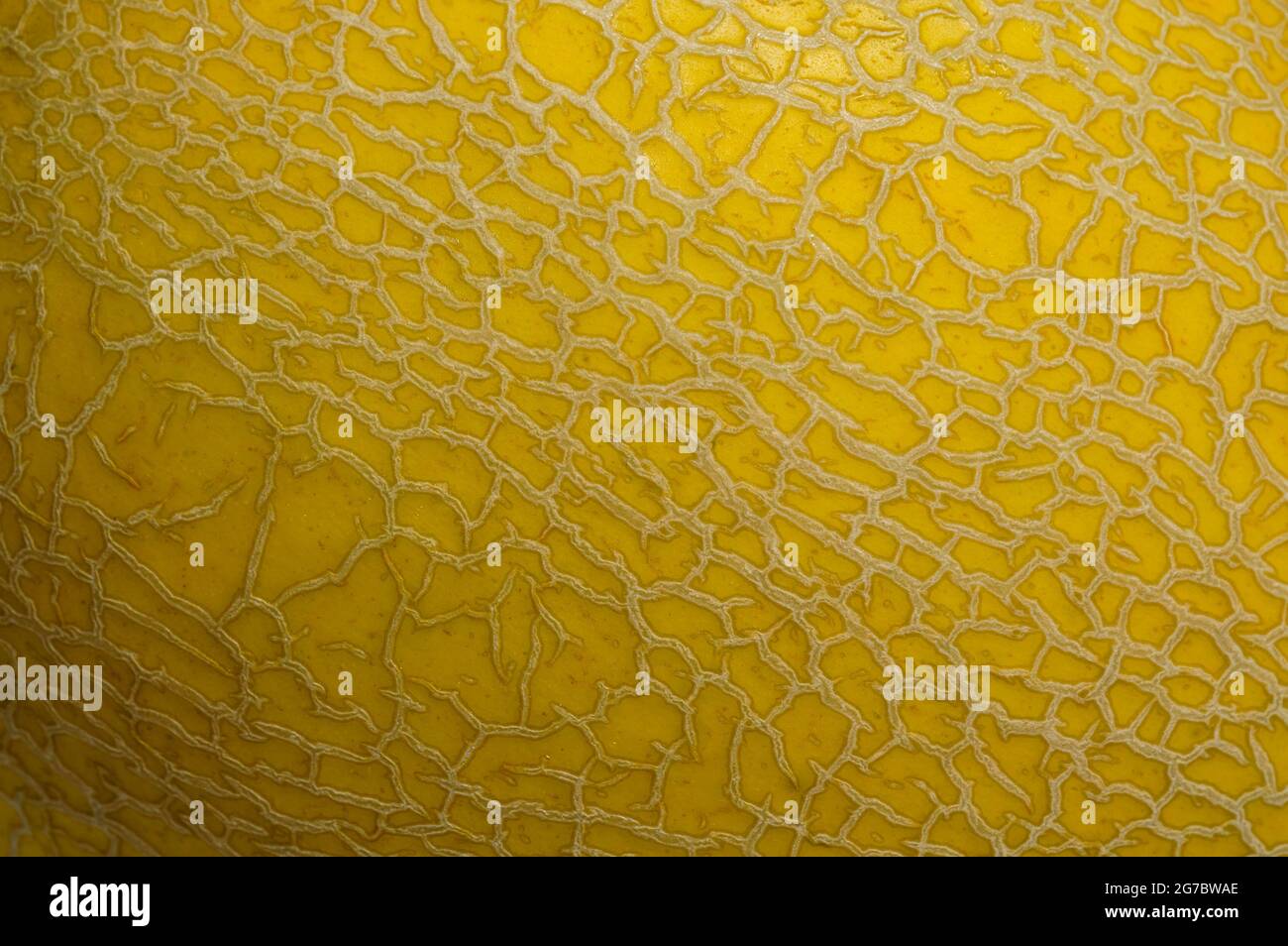 Hintergrund Textur Oberfläche von goldener Cantaloup Stockfoto