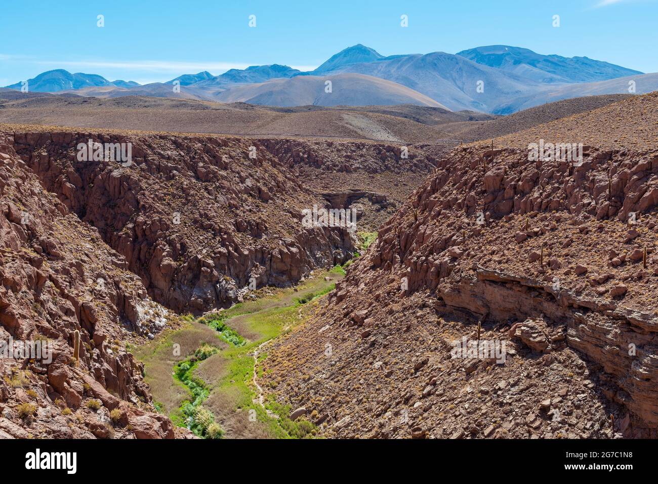 Seltener Bach mit grünen fruchtbaren Tal in der trockenen Atacama Wüste, Chile. Stockfoto