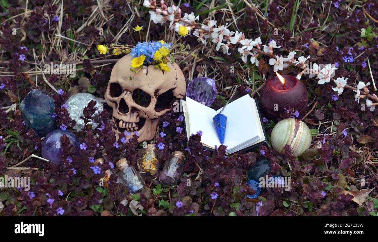 Beltane Ritual mit Totenkopf, offenem Zauberbuch, Kristallen und Blumen draußen. Esoterischer, gotischer und okkulter Hintergrund, Halloween Mystic und Wicca Konz Stockfoto