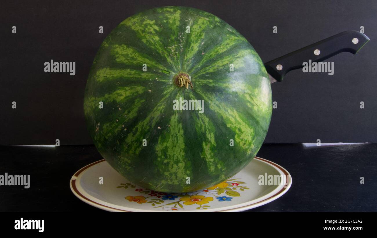 Eine Wassermelone im Prozess der Vorbereitung zu essen Stockfoto
