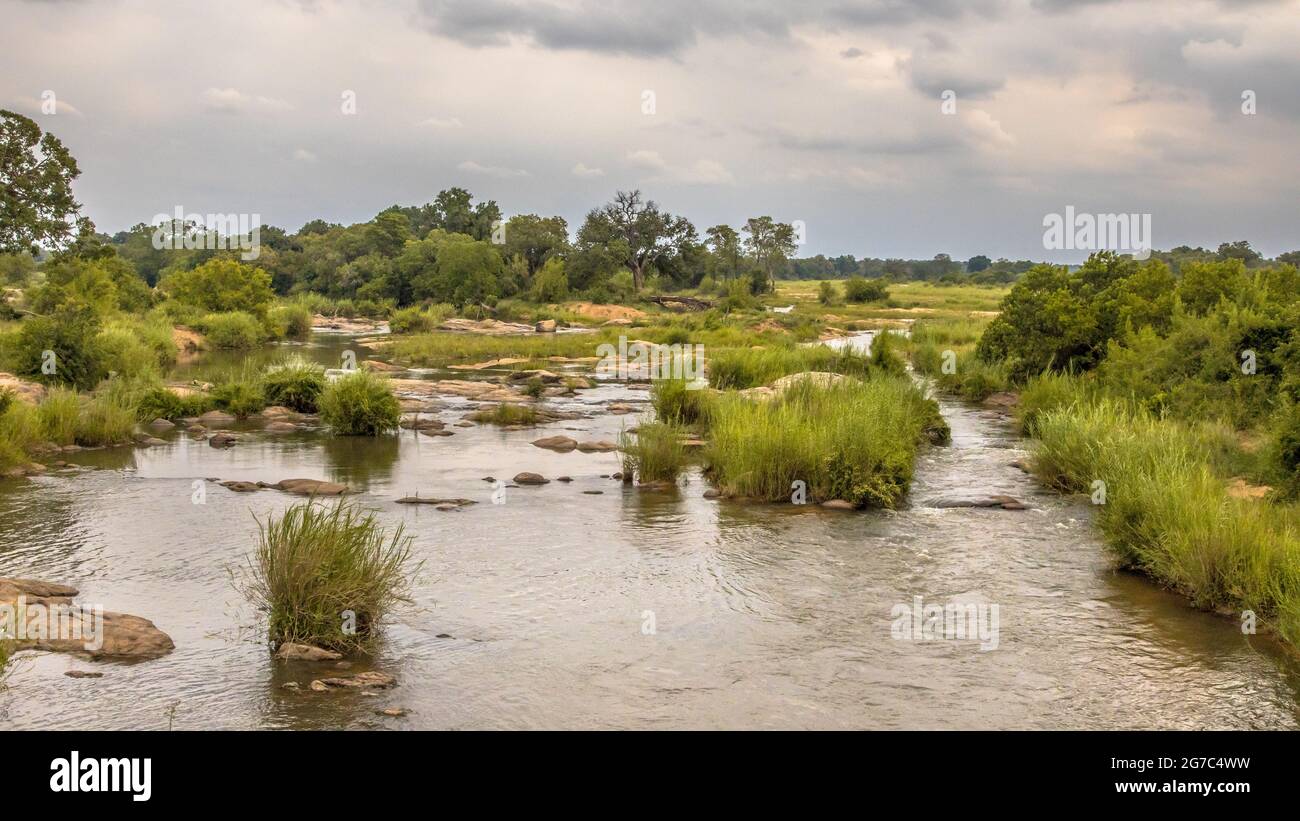 Panorama der Sabie River in der Nähe von Skukuza Camp im Krüger Nationalpark, Südafrika Stockfoto