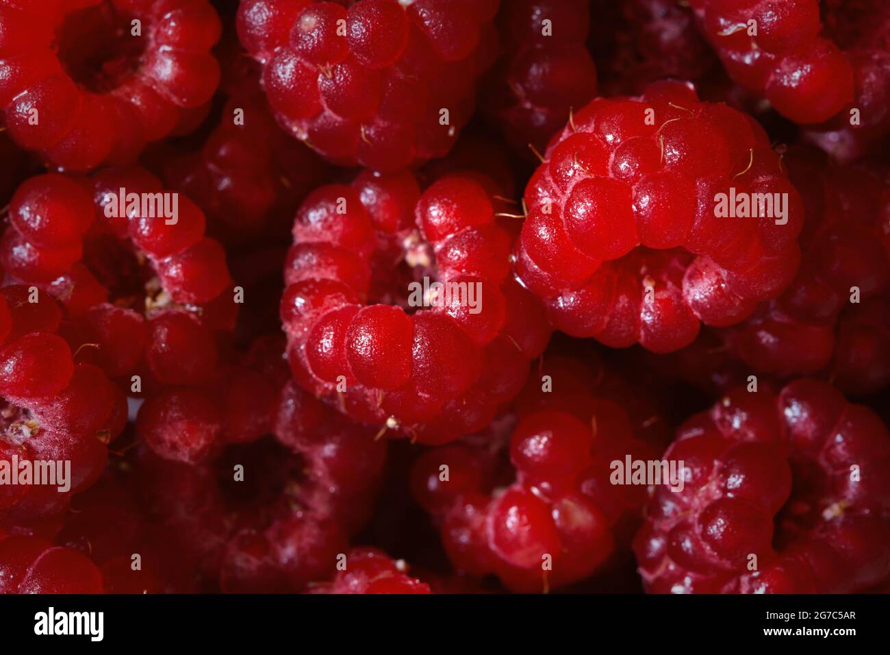 Hintergrund des Himbeer-Makros. Die Textur ist Nahrung. Reife Himbeeren in Nahaufnahme. Das Konzept der Sommerkost, Frische, Vitamine. Schöne Beeren in einem Stockfoto