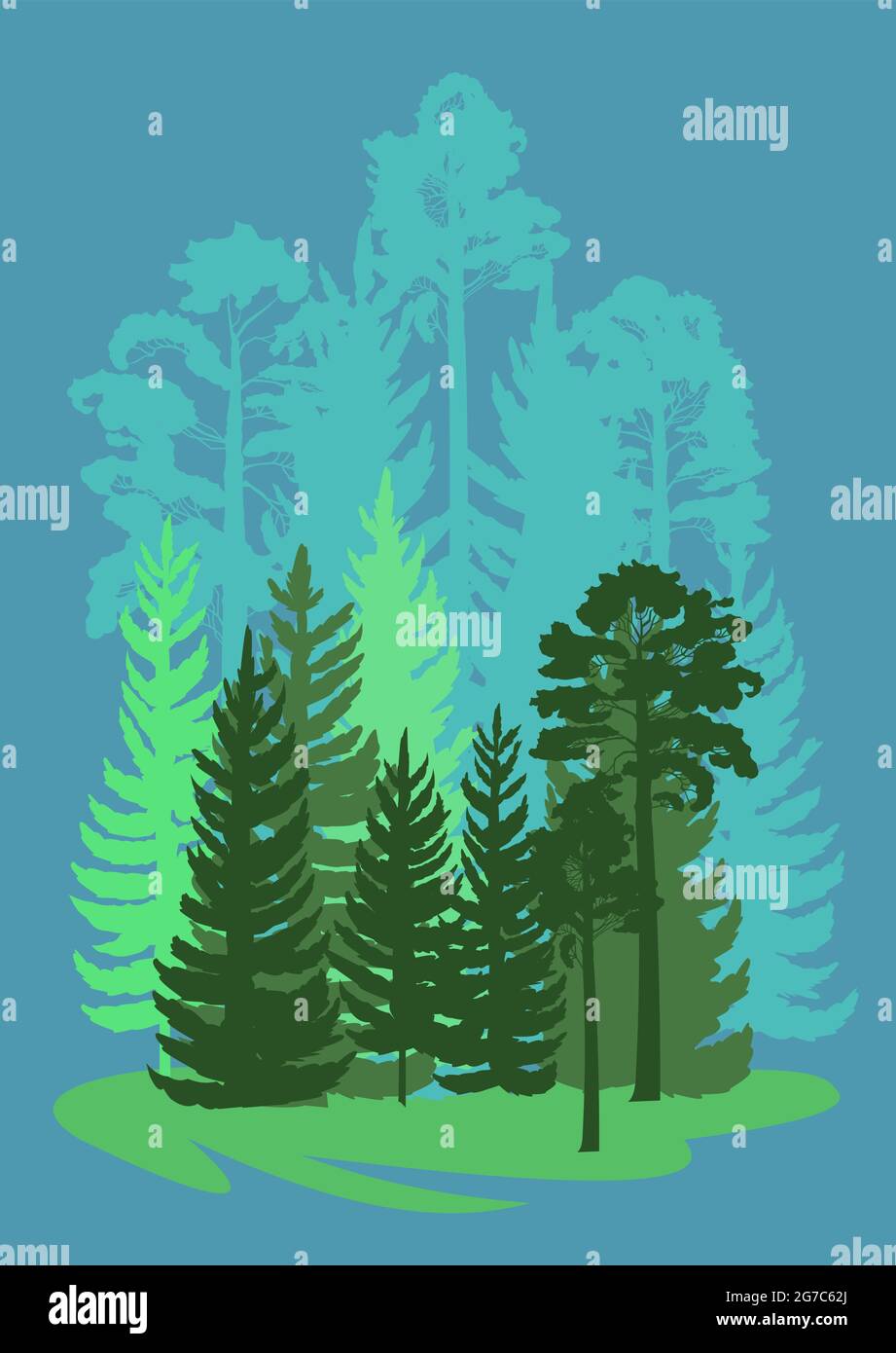 Forest Silhouette. Landschaft mit Nadelbäumen. Wunderschöne Aussicht. Kiefern- und Fichtenbäume. Sommer Naturlandschaft. Illustrationsvektor. Stock Vektor
