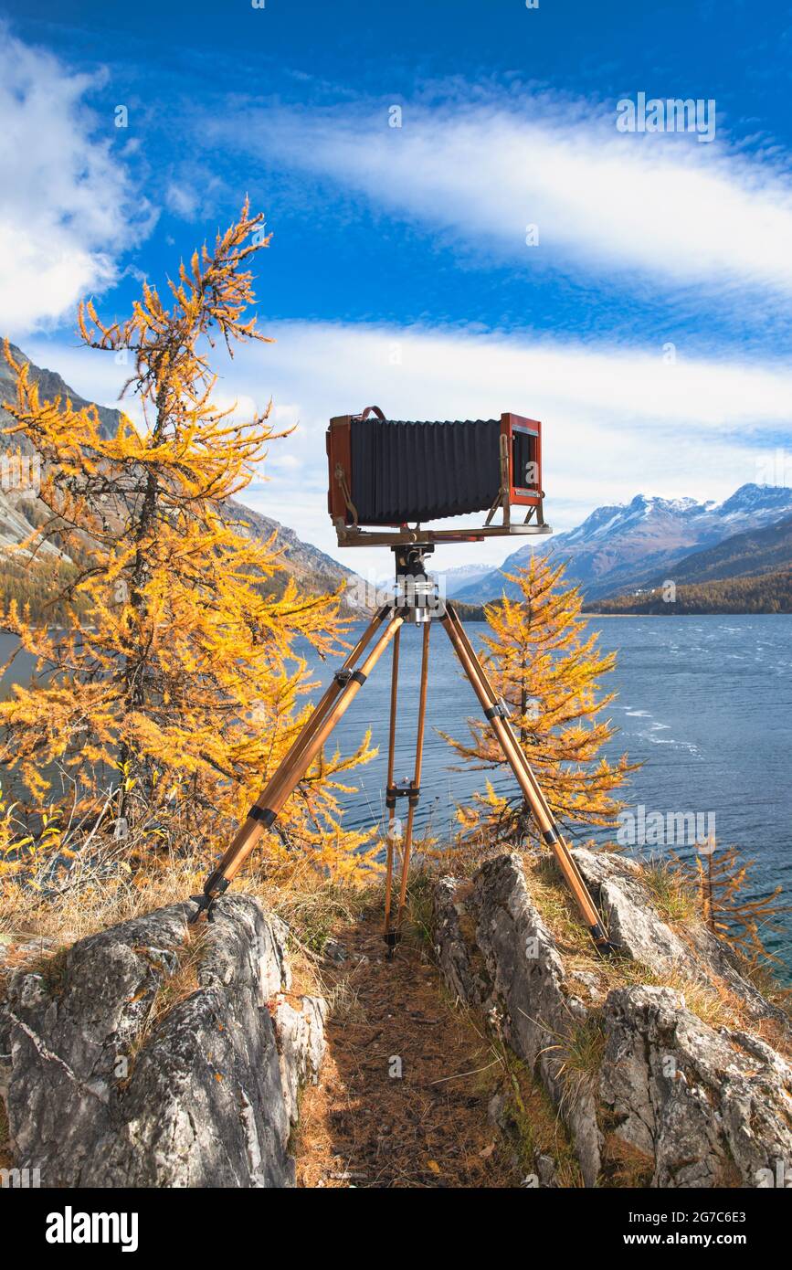 Vintage-Plattenkamera auf Holzstativ Stockfoto