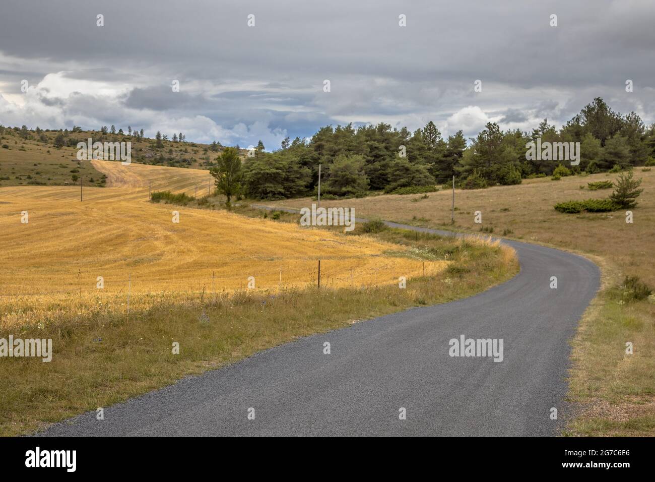 Kurvenreiche Straße durch Kalkstein Kalkstein Karstlandschaft der Causse Noir in den Cevennen Frankreich Stockfoto
