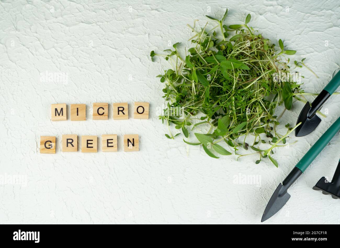 Verschiedene Arten und Sorten von Microgreens. Wächst. Sonnenblumenblätter. Keimende Samen für vegane Öko-Lebensmittel. Bio-Mikrogrün. Speicherplatz kopieren Stockfoto