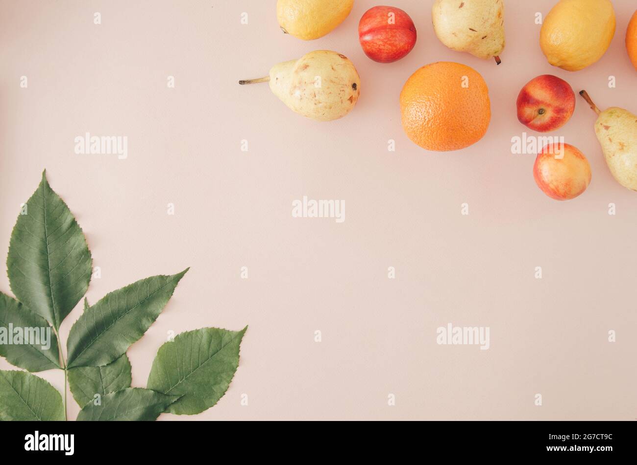 Sommerliche Früchte und Blätter auf einem hellorangen Hintergrund. Stockfoto