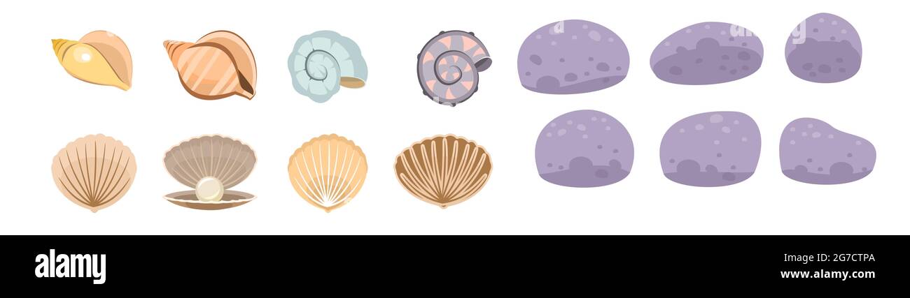 Set von Muscheln. Schale. Unterwasserwelt. Aquarium oder Teich. Sommerwasser. Isoliert auf weißem Hintergrund. Illustration im Cartoon-Stil. Flaches Design Stock Vektor