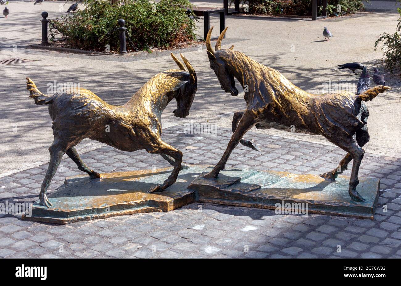 Polen, Posen - 25. April 2021: Skulpturen von zwei bronzenen Ziegen, Stadtsymbol, Touristenattraktion. Stockfoto