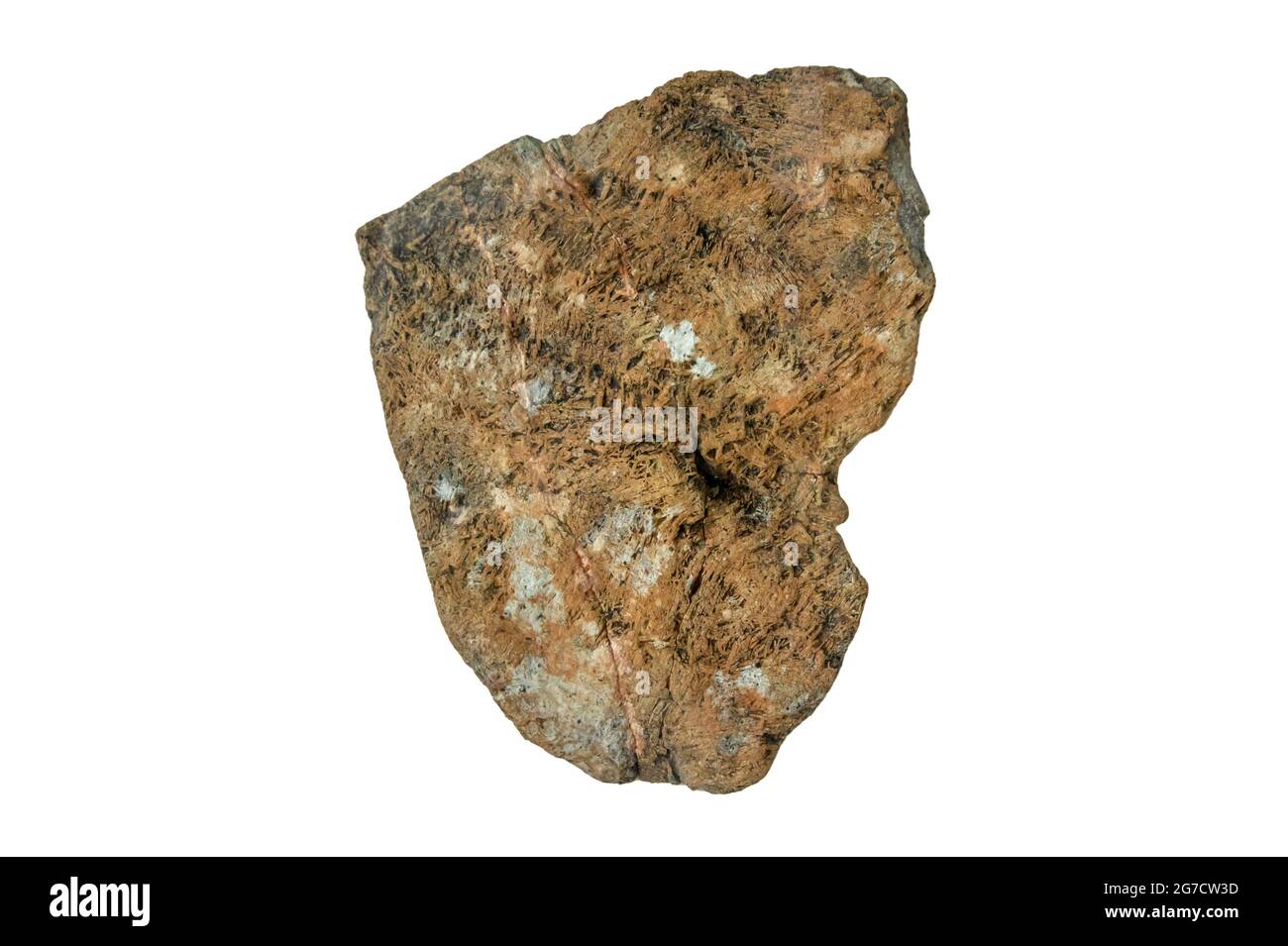 Komatiit - ein Mineral, das an der Stelle entstand, an der sich die Kontinente vor etwa 600 Millionen Jahren auseinanderbewegten. Stockfoto