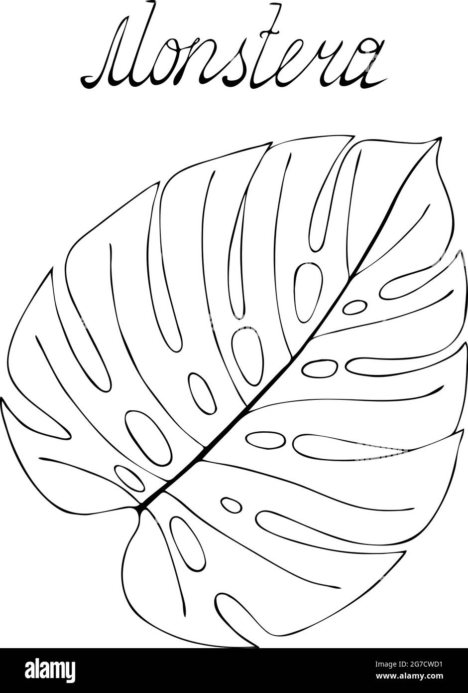 Monstera-Blatt in schwarzer Umrandung, handgezeichnet, kritzelnd. Beschriftung. Vektorgrafik Stock Vektor