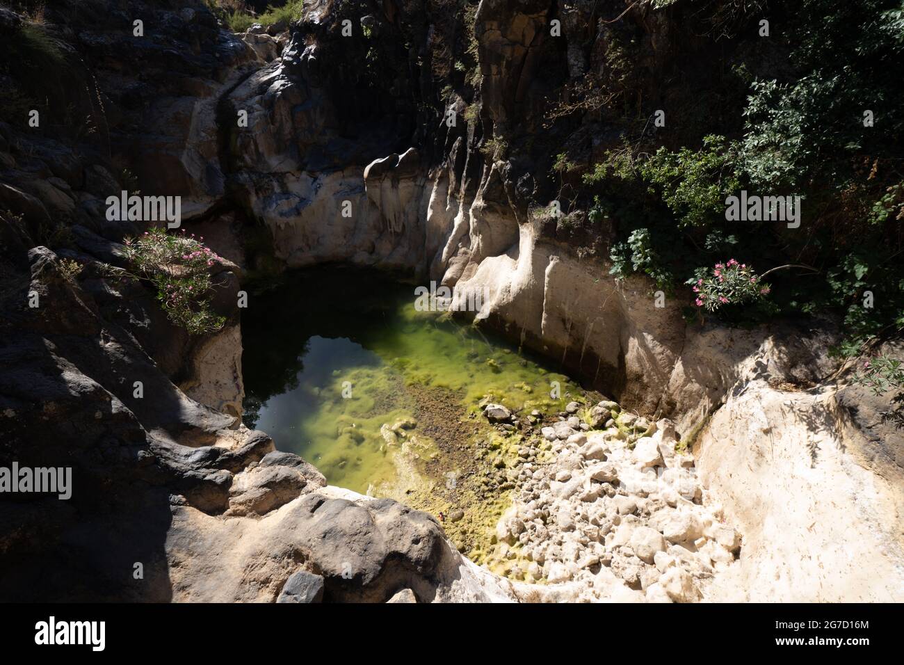 Israel, Golan-Höhen, Saar Bach und Wasserfall Naturschutzgebiet Stockfoto