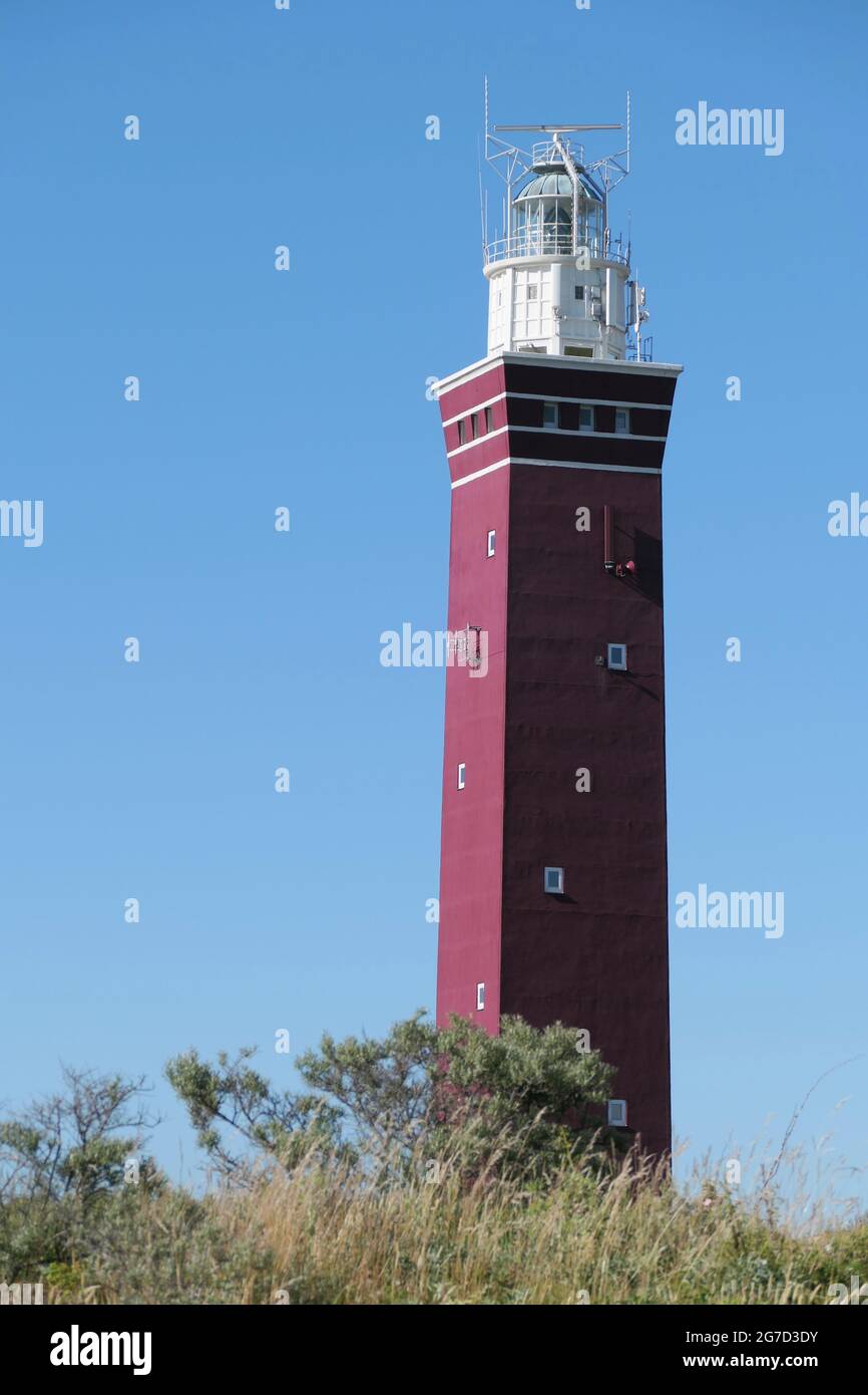 Der Westhoofd (West Head) Leuchtturm in der Nähe von Ouddorp, Niederlande, liegt in einer Sanddünenlandschaft, gesehen gegen einen klaren blauen Himmel. Hochformat. Stockfoto