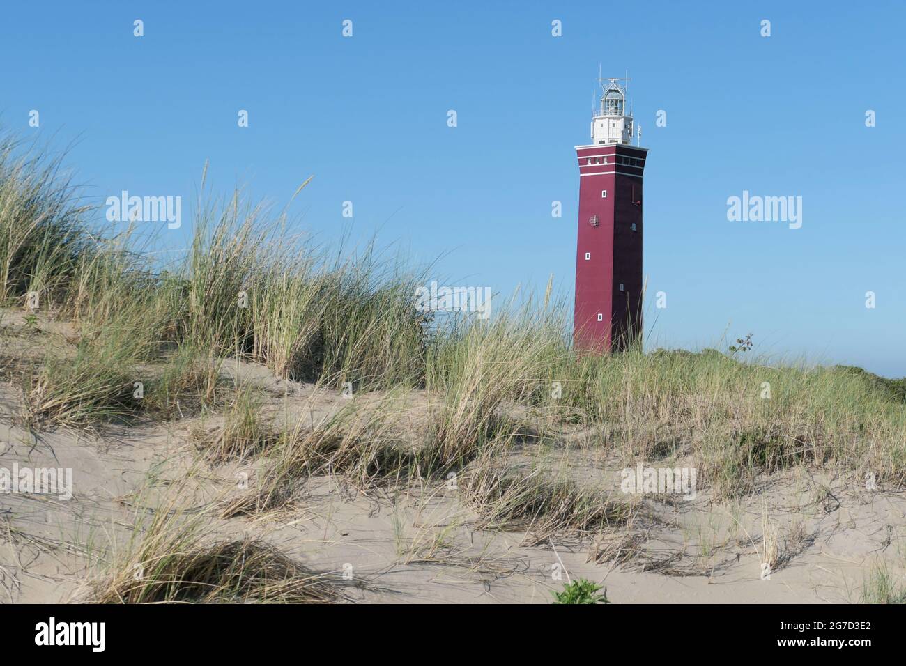 Der Westhoofd (West Head) Leuchtturm in der Nähe von Ouddorp, Niederlande, liegt in einer Sanddünenlandschaft, gesehen gegen einen klaren blauen Himmel. Stockfoto