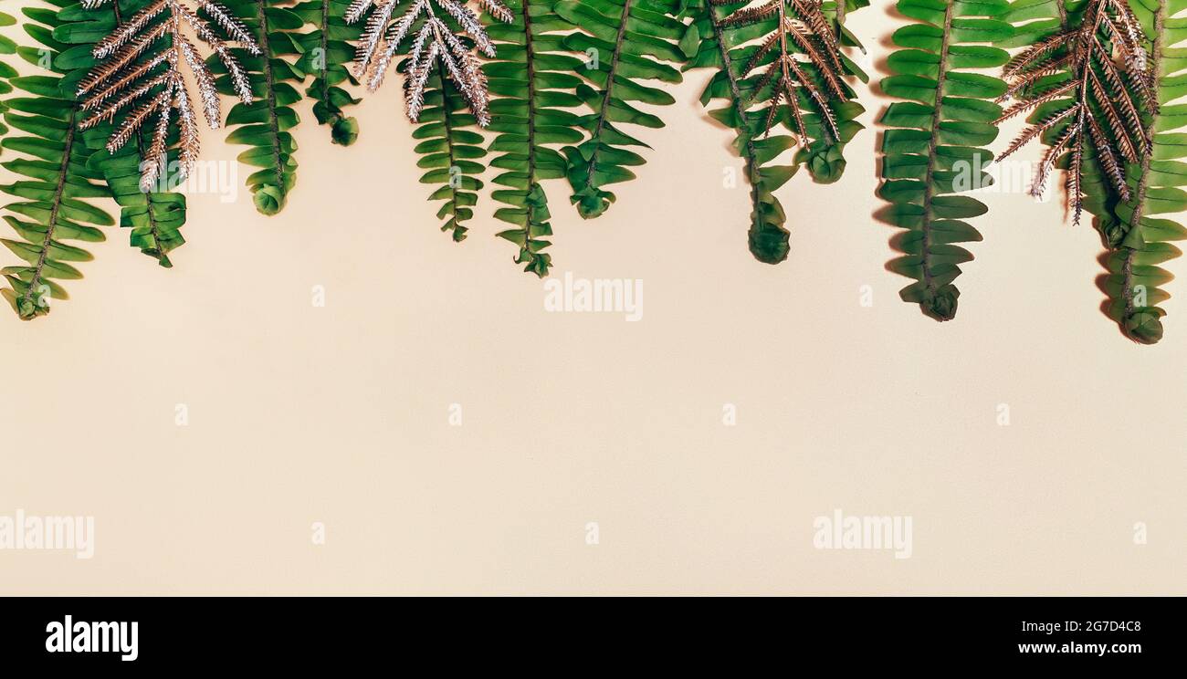 Natürlicher grüner Farn und goldene Blätter auf hellem Bienchen-Papier. Stockfoto