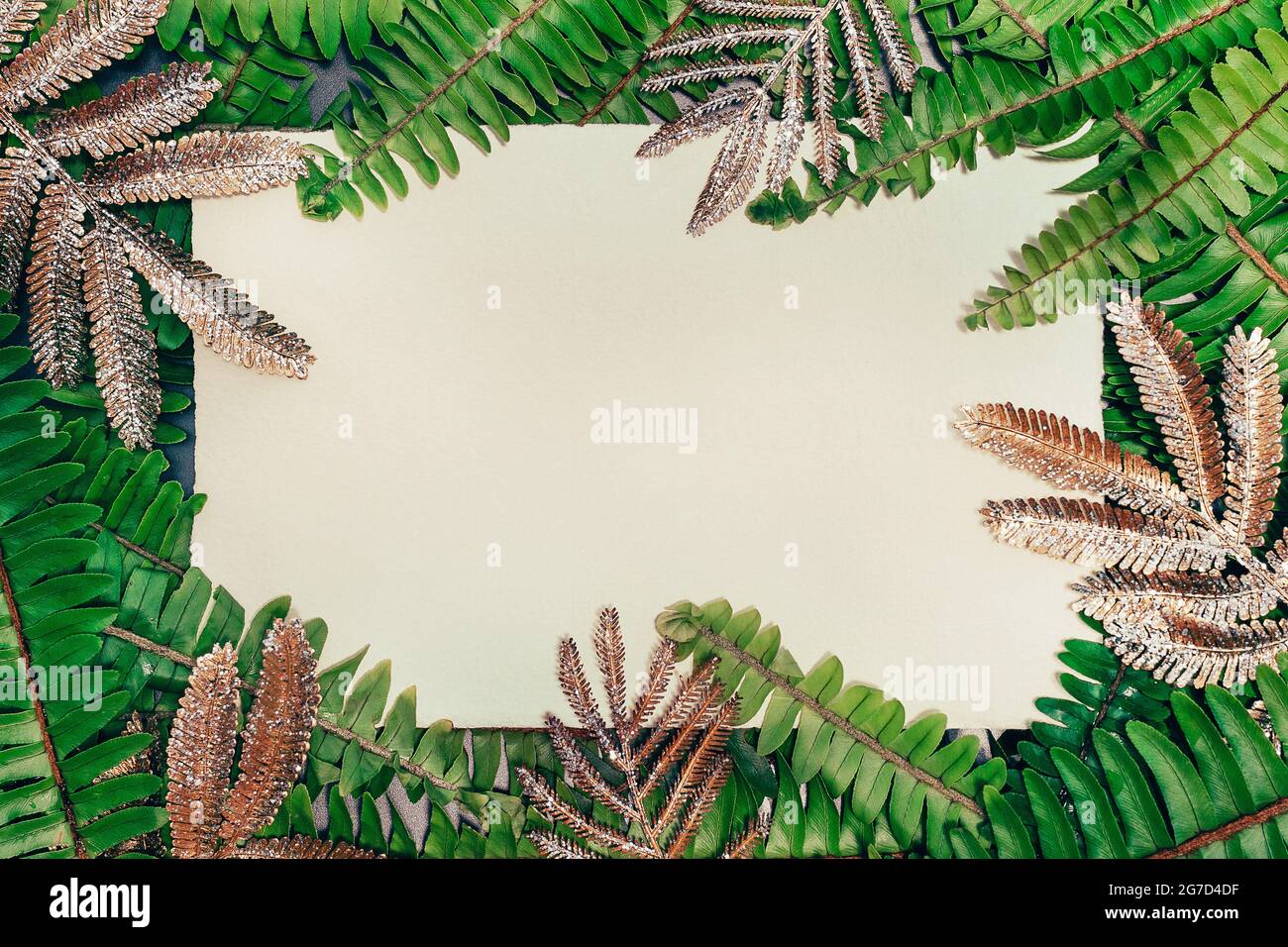 Natürlicher grüner Farn und goldene Blätter mit leerer Papierkarte und freiem Kopieplatz. Stockfoto