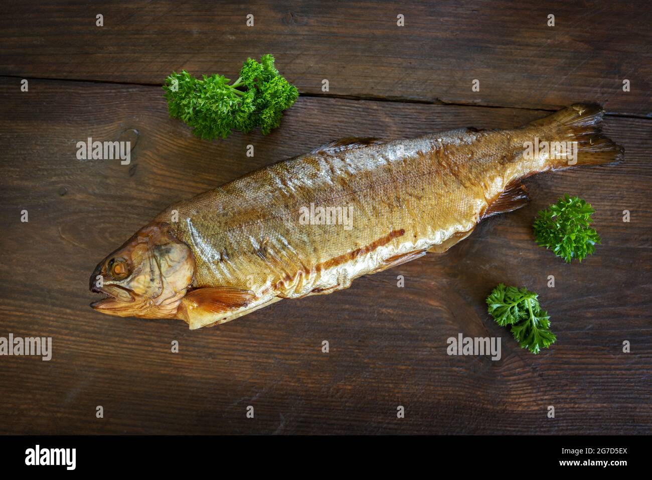 Goldene geräucherte Forelle mit Petersilie garnieren auf einem dunklen rustikalen Holztisch, gesunder Fisch enthält gesättigte Omega-3-Fettsäuren, Kopierraum, Hochwinkel vi Stockfoto