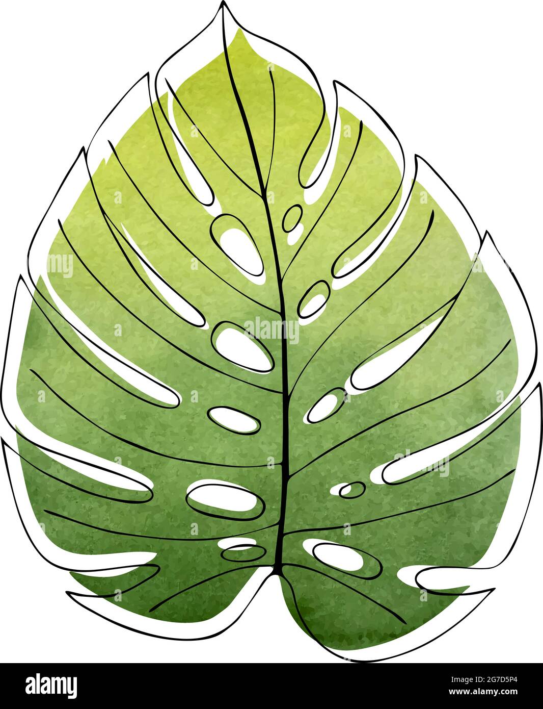 Monstera Blatt Kontur, auf einem grünen Aquarell-Hintergrund, Blatt-förmigen Aquarell-Hintergrund. Vektorgrafik Stock Vektor