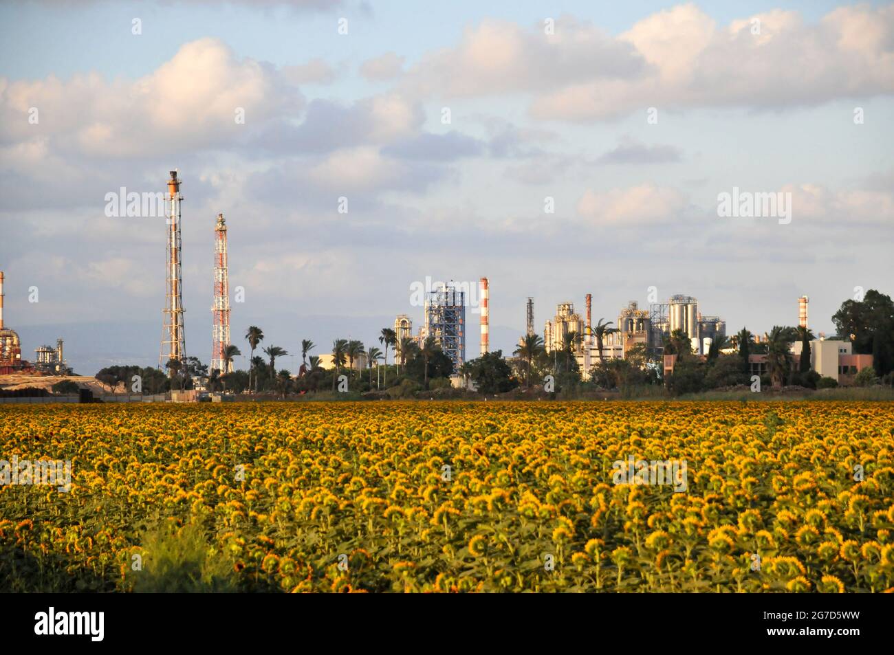 Landwirtschaft und Ackerland vor den Schornsteinen und Schornsteinen der Petrochemischen Fabrik, fotografiert in Srael, Haifa Bay Stockfoto