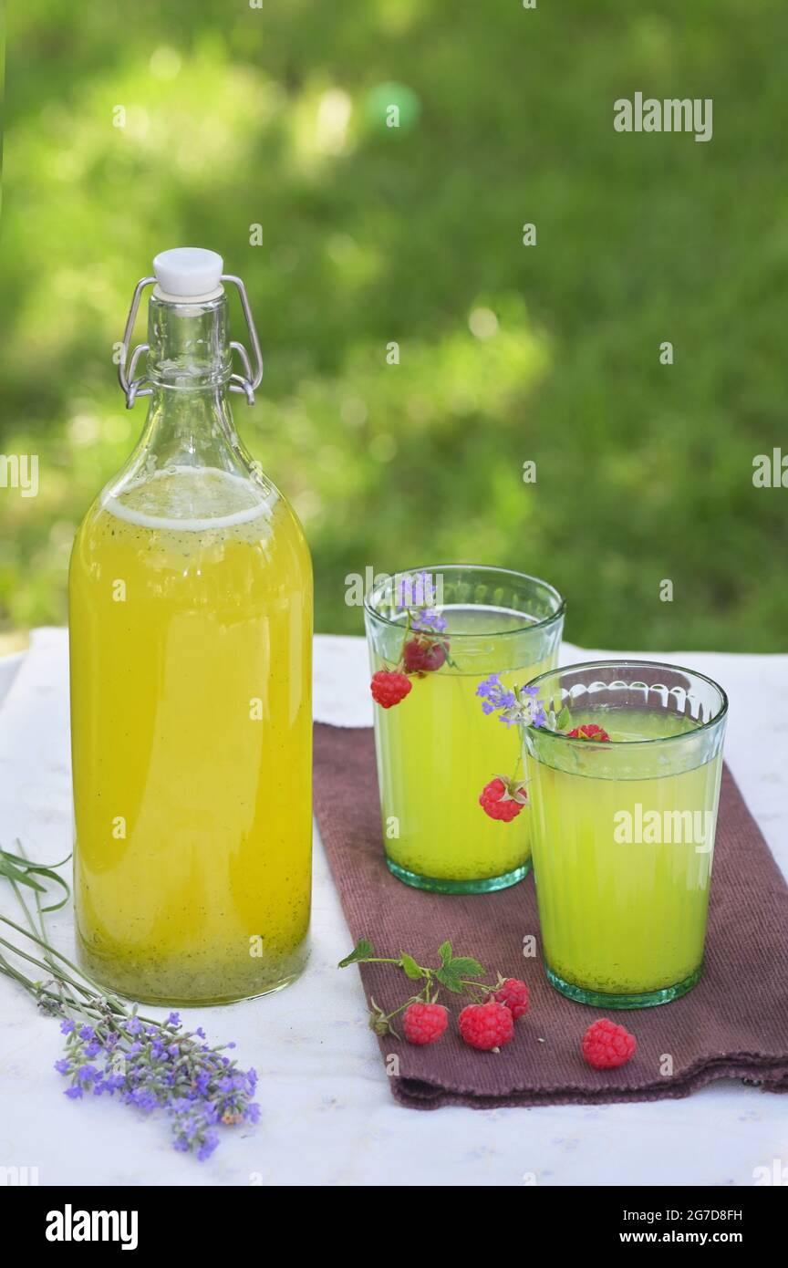 Hausgemachte Limonade in Gläsern, Himbeer- und Lavendelgeschmack Stockfoto