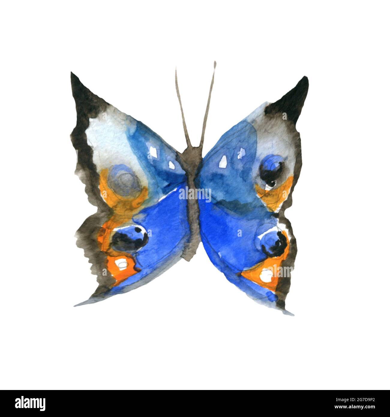 Aquarell Schmetterling Set Aquarell Malerei für Ihr Design Stockfoto