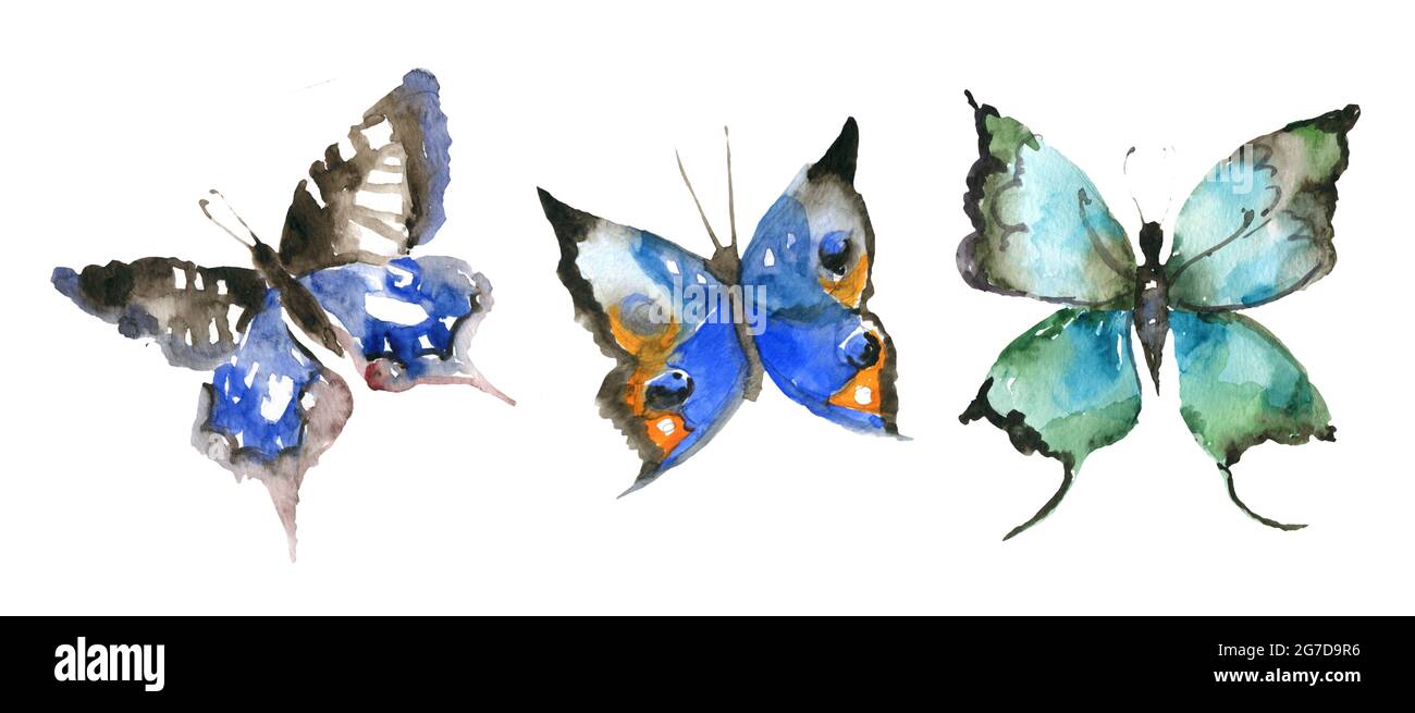 Aquarell Schmetterling Set Aquarell Malerei für Ihr Design Stockfoto