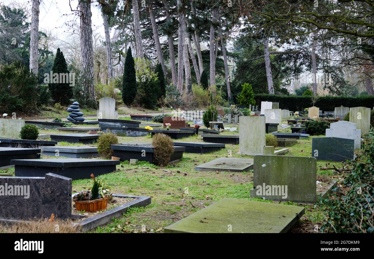 Allgemeiner Friedhof in Den Haag, Niederlande Stockfoto