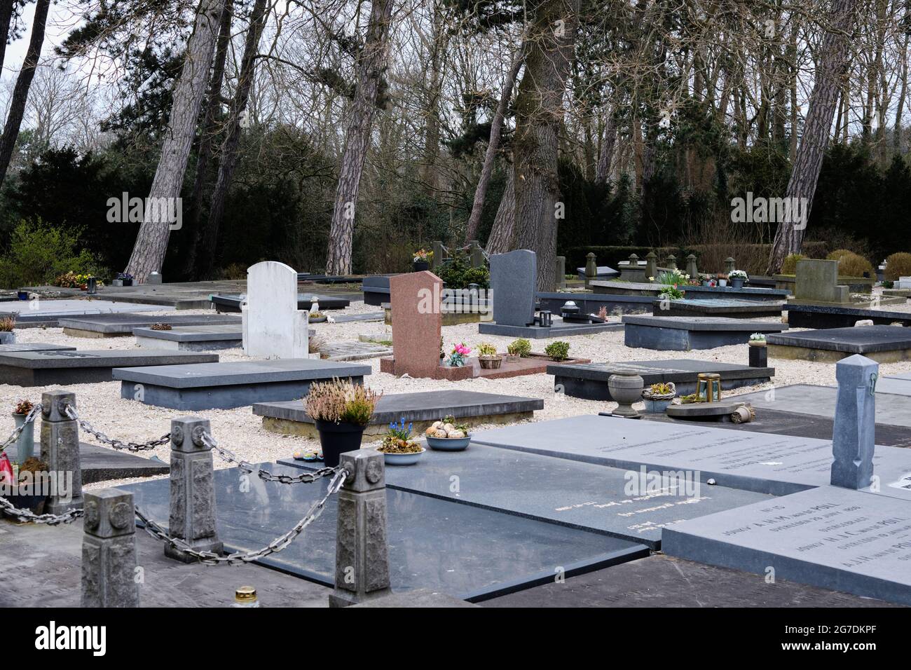 Nederland, Den Haag - 3 maart 2021: Algemene begraafplaats Kerkhoflaan. | Niederlande, Den Haag - 3. März 2021: Kerkhoflaan General Cemetery Stockfoto