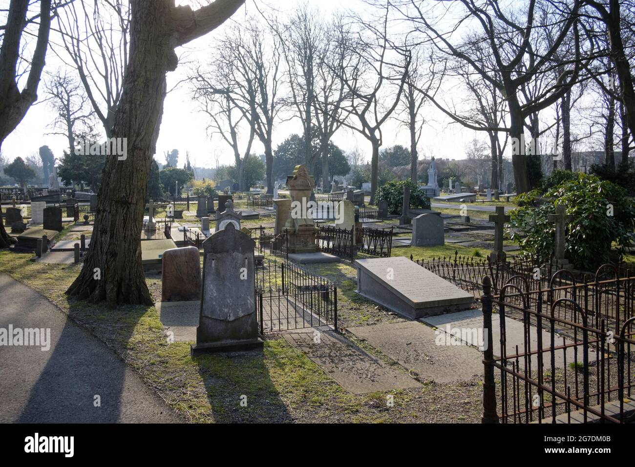 Alter Eik en Duinen Friedhof in Den Haag, Niederlande Stockfoto