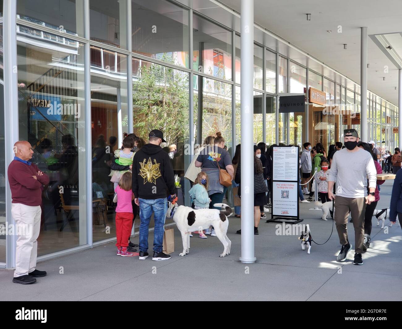 COVID19 ERA Maskierte und entlarvte Fußgänger, Spazierhunde und Stehen