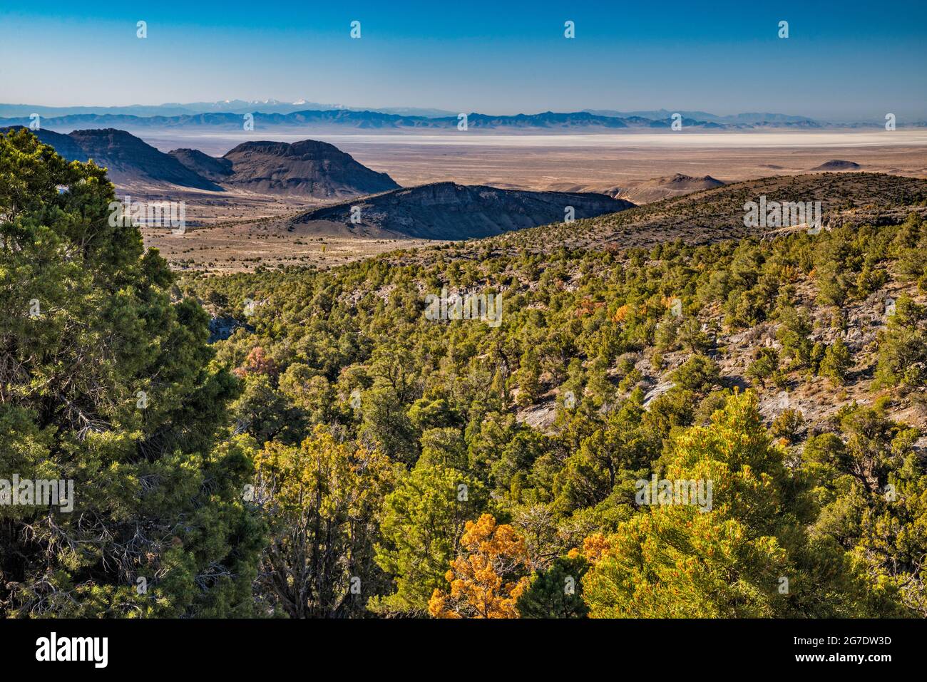 Tule Valley, Snake Range in Nevada im bezirk, Pinyon-Wacholder-Wald, von der Straße im Swasey Mountain Massiv, House Range, Great Basin Desert, Utah, USA Stockfoto