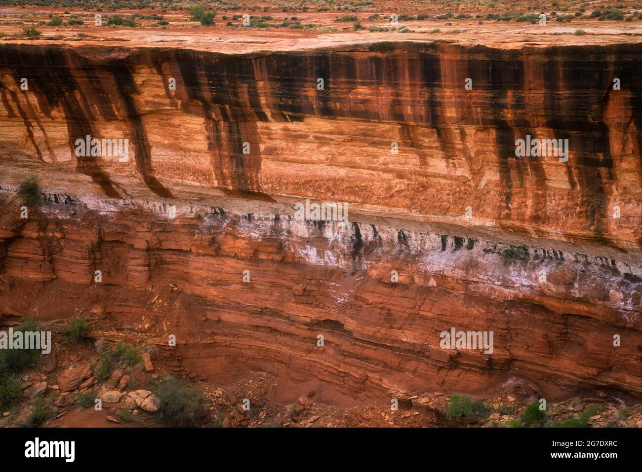 Einzigartige Muster von Wüstenlack bedecken viele der Canyon-Wände entlang der abgelegenen White Rim Road im Canyonlands National Park in Utah. Stockfoto