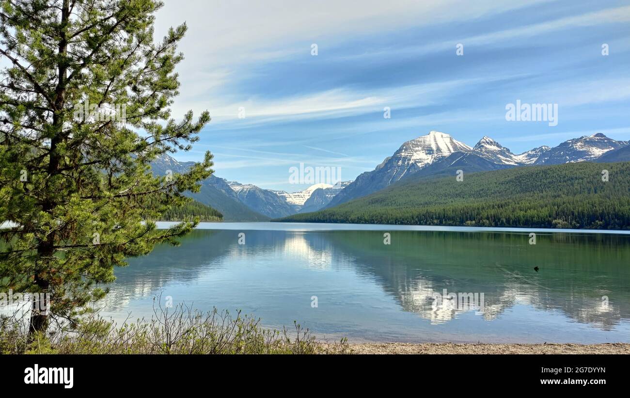 Lake-on-Glacier-Nationalpark Stockfoto