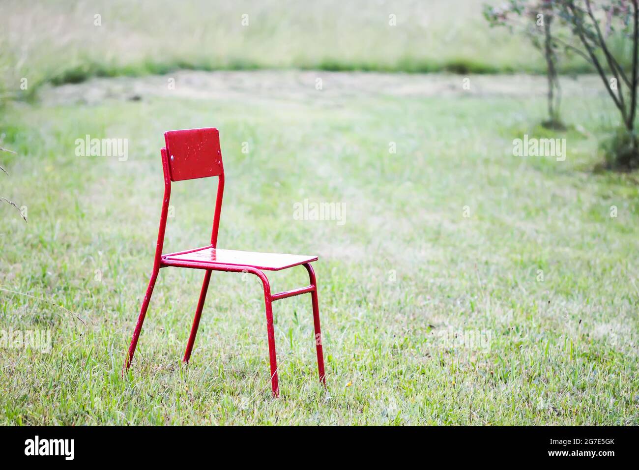 Roter Stuhl auf grüner Wiese im Grünen. Stockfoto