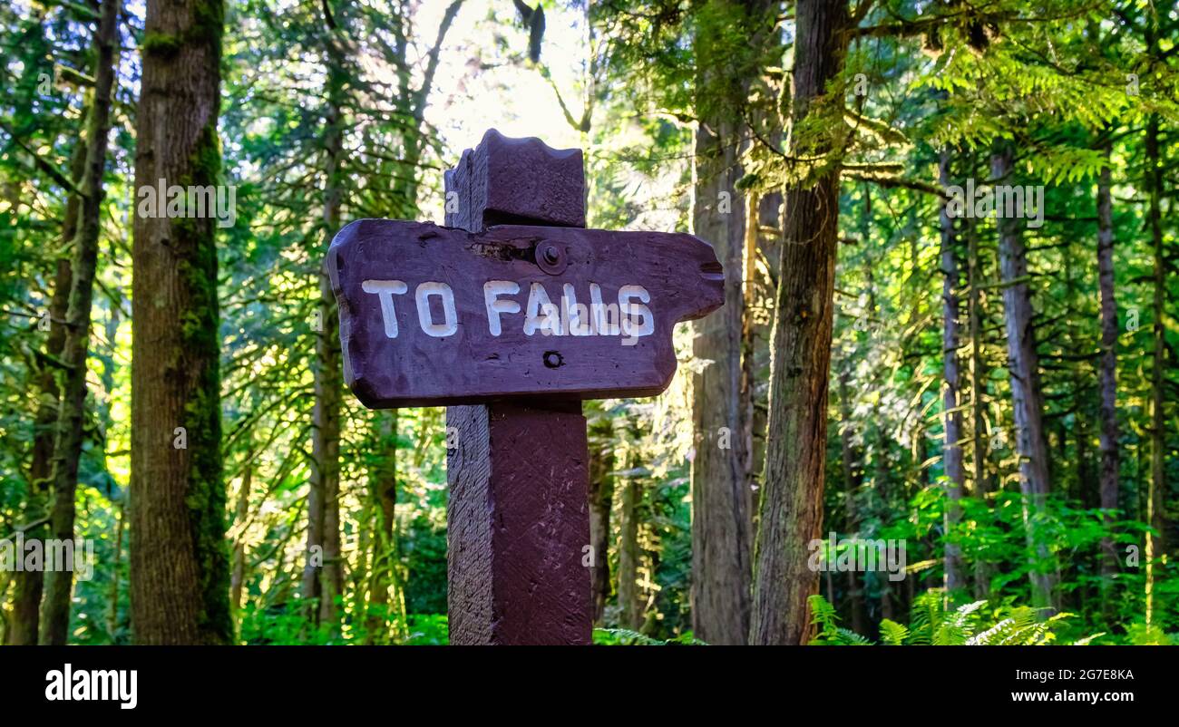 Schild mit Hinweis auf Fälle auf einem Wanderweg im Regenwald. Stockfoto