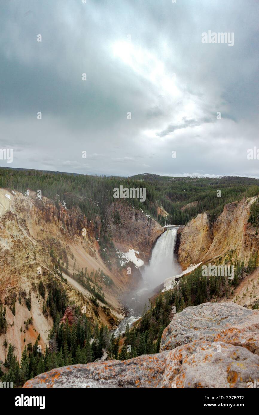 Der Grand Canyon Yellowstone Stockfoto