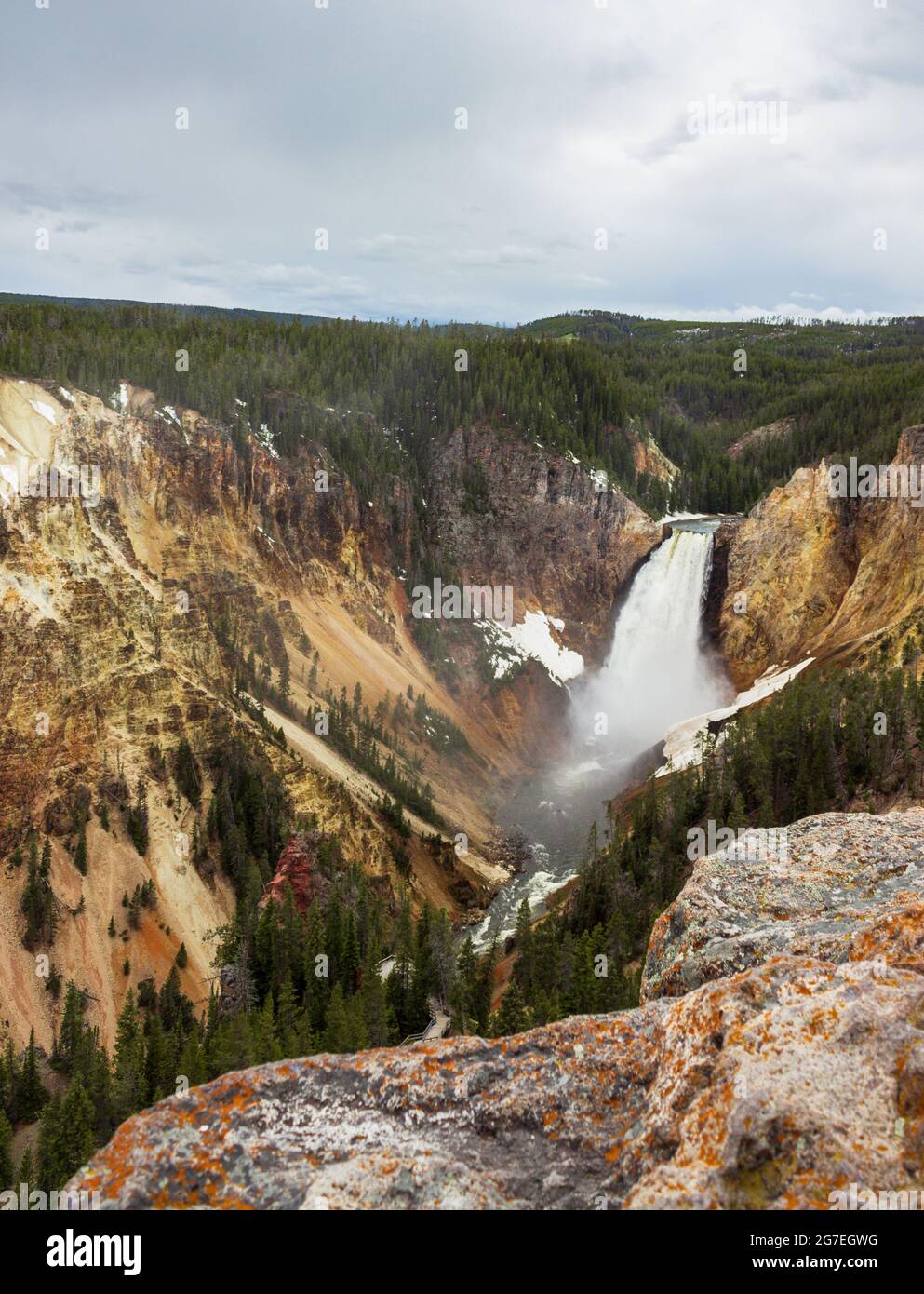 Der Grand Canyon Yellowstone Stockfoto