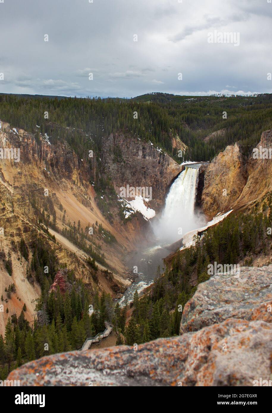 Der Grand Canyon Yellowstone Stockfoto