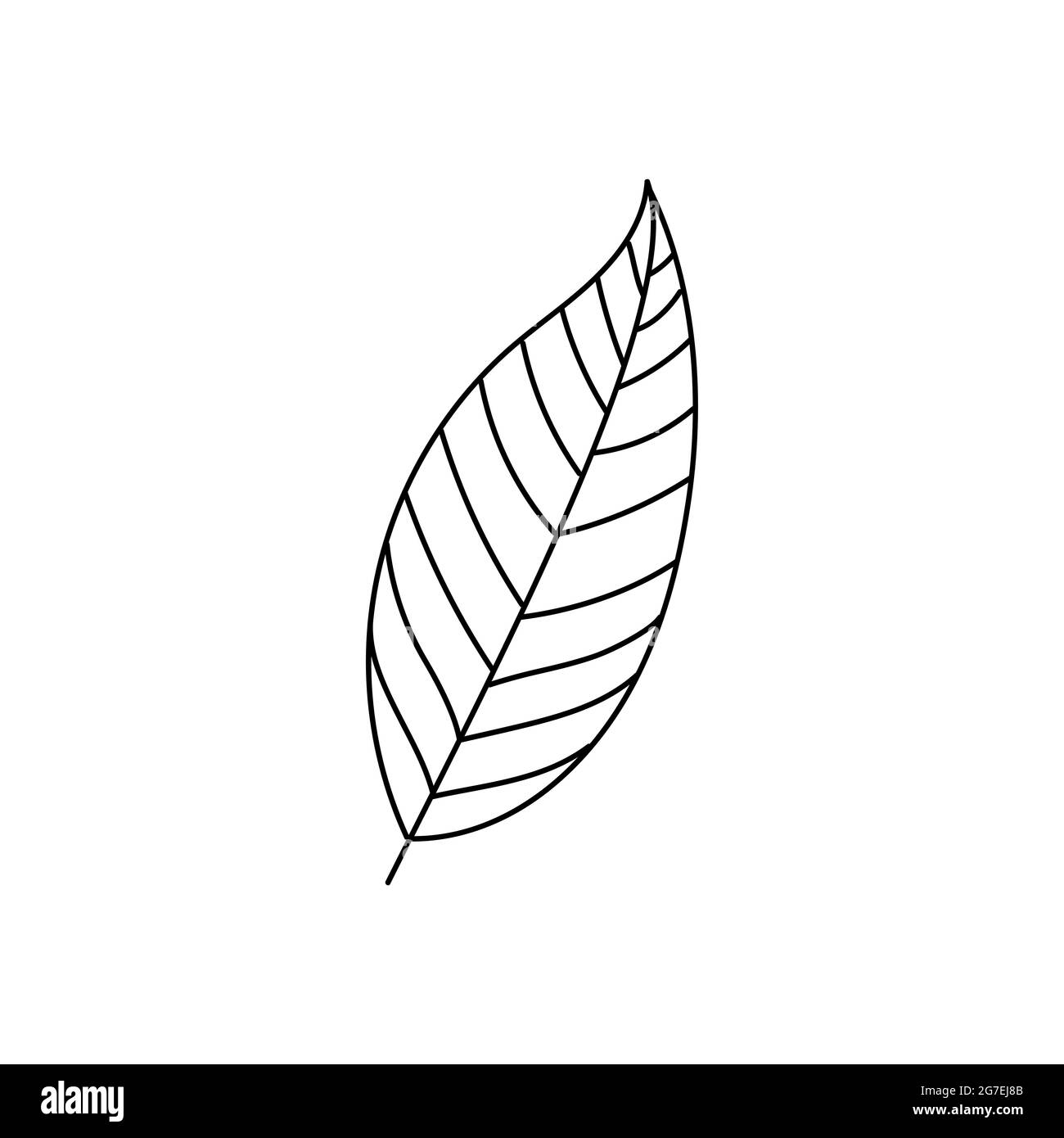 Von Hand gezeichnete Linienzeichnung eines Blattes. Vektorgrafik Stock Vektor