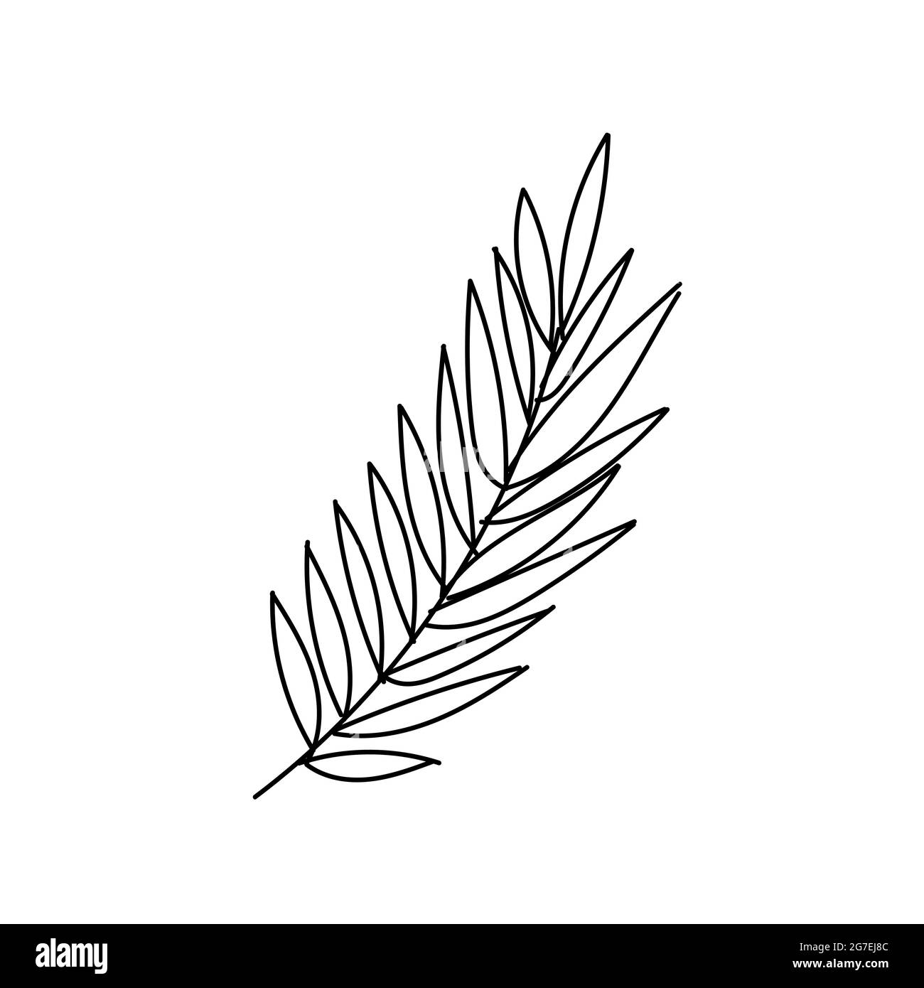 Von Hand gezeichnete Linienzeichnung eines Blattes. Vektorgrafik Stock Vektor