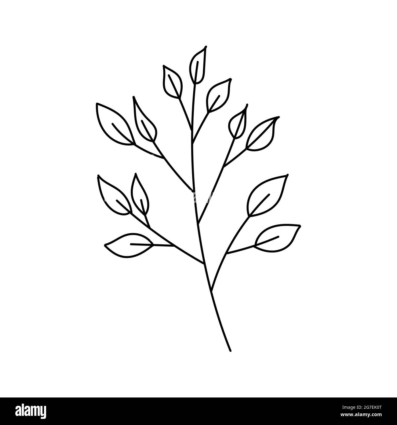 Von Hand gezeichnete Linienzeichnung eines Blattes. Vektorgrafik Stock Vektor