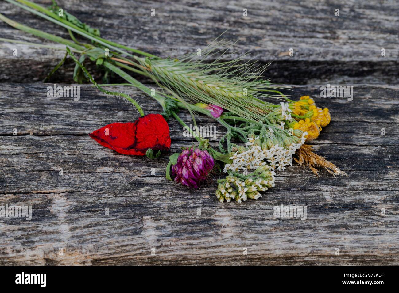 Bouquet von bunten wilden Blumen frisch geschnitten in den Feldern liegen auf dem Holz einer rustikalen Bank als Hintergrund, schaffen eine natürliche Note. Stockfoto
