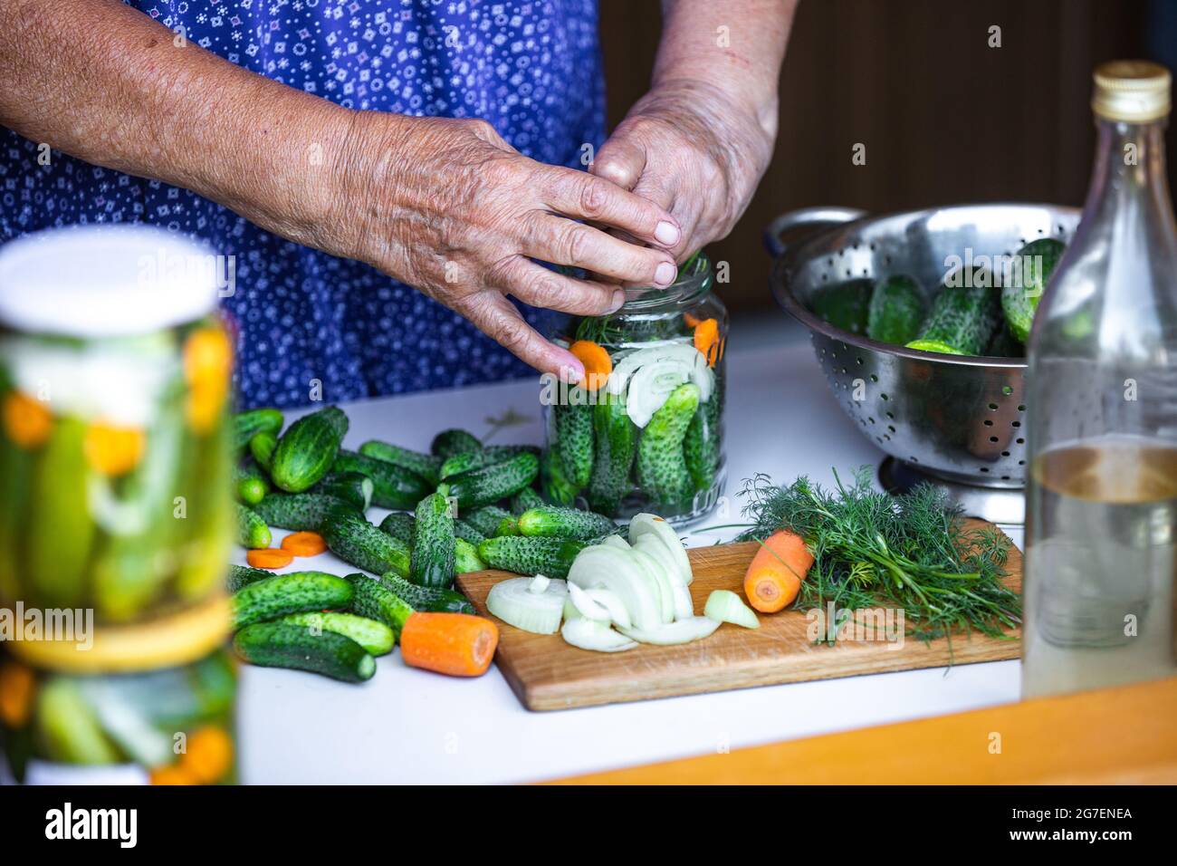 Ältere Frau oder Großmutter hausgemachte Einmachungen der frischen, Bio-Gurken zu einem Glas mit Zwiebeln, Karotten und Dill, Lebensmittelkonzept Stockfoto