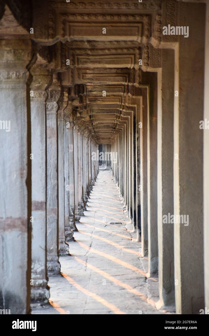 Der Angkor Wat Tempel. Siem Reap, Kambodscha. Stockfoto